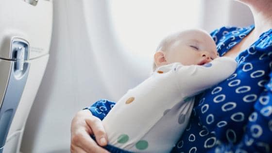baby fliegen